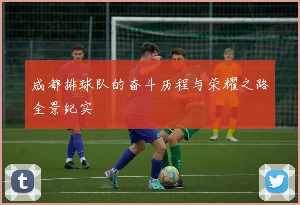 成都排球队的奋斗历程与荣耀之路全景纪实